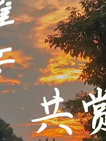 穿进自己写的文该怎么办