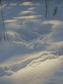 等第一场雪