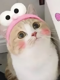 苏碗