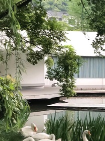 你离学霸就差一场恋爱