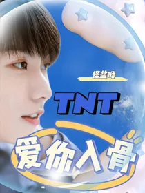 TNT：爱你入骨