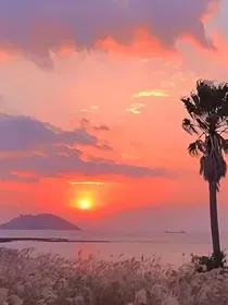 盛夏，里的那场遇见