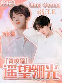 贺峻霖：遥望翎光
