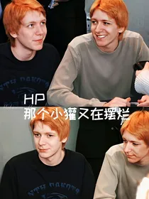 HP那个小獾又在摆烂