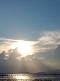 美迪汽泡