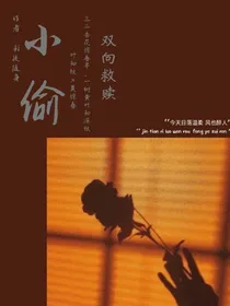 小偷少年