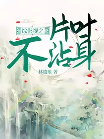 综影视之片叶不沾身