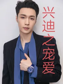 兴迪之宠爱