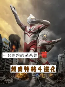 超奥特格斗进化
