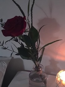 文案摘抄语录