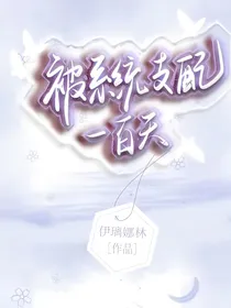 被系统支配的一百天