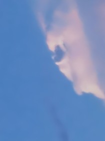 九月的青稞面条