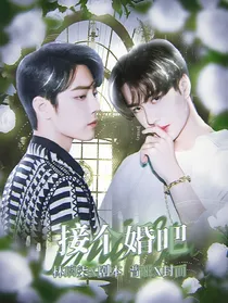 接个婚吧