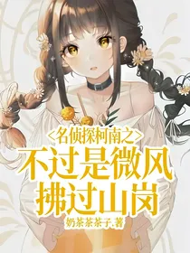 名侦探柯南之不过是微风拂过山岗