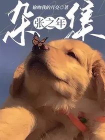 张之年，杂集