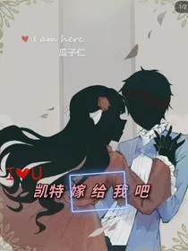 嫁给我的年华