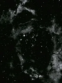 蛇精美人风华无双