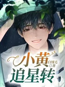 小黄追星转