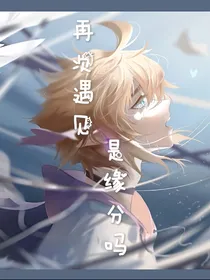 再一次遇见是缘分吗（all安）