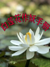 白莲花作妖手册