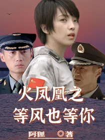 火凤凰之等风也等你