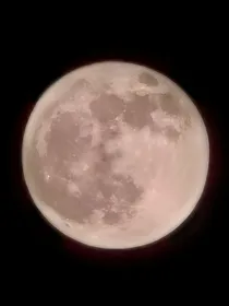 声名远扬：乔俏的幸福生活