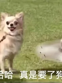 快穿：我是花瓶？