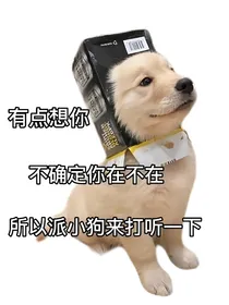 去哪儿（不知道几季了）