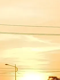 陇