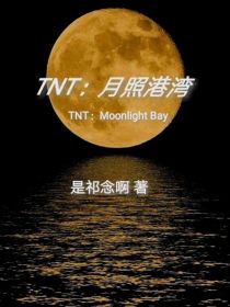 TNT：月照港湾