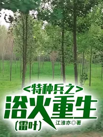 特种兵之浴火重生（雷叶）