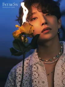 JOUSHUA：雏菊