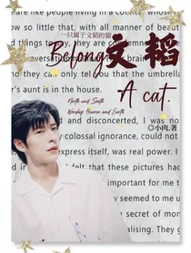 南北：一只属于文韬的猫