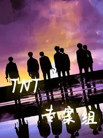 TNT专业办案小组