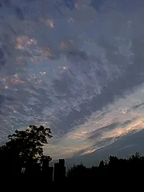 雷安：罪