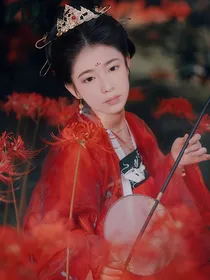 如懿传之宜世如意