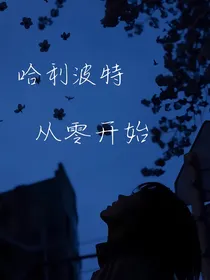 哈利波特：从零开始