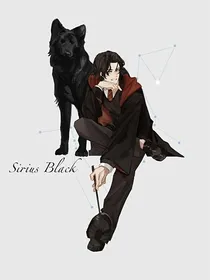 HP改写——如果小天狼星没有死
