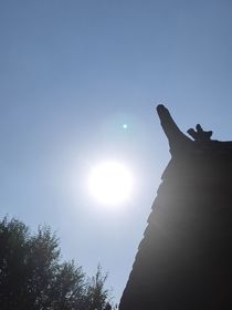 陷落之夏