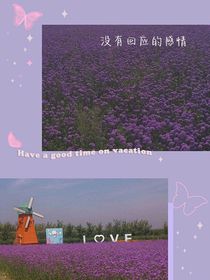 没有回应的感情