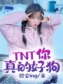 TNT：你真的好狗