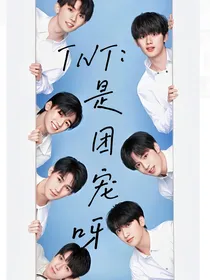 TNT：是团宠呀