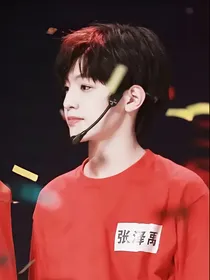 极禹：总裁追小甜豆