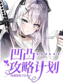 凹凸……攻略计划