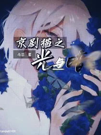京剧猫之光与夜
