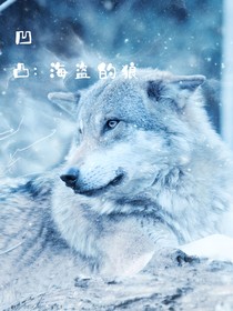 凹凸：海盗的狼