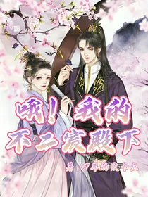 哦！我的不二宸殿下
