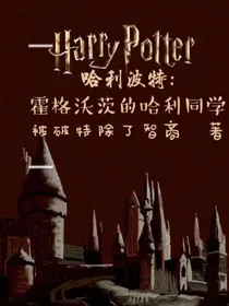 哈利波特：霍格沃茨的哈利同学