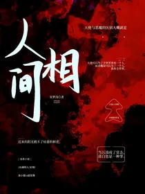 斗龙战：人间相