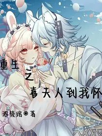 重生之喜夫人到我怀